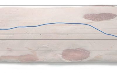 Ajuste da espessura da fatia em porcentagem