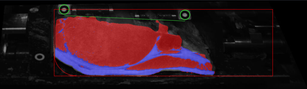 Focus on Bacon Slicing Performance: Vision Technology