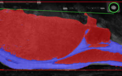 Focus on Bacon Slicing Performance: Vision Technology