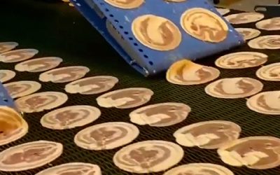 IBS 4600 Global TX - Rounds IBS 4600 Global TX - Rounds